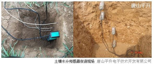 北京林业大学土壤墒情监测系统|土壤墒情自动监测|土壤水分监测系统|土壤墒情与旱情管理系统|GPRS土壤墒情监测
