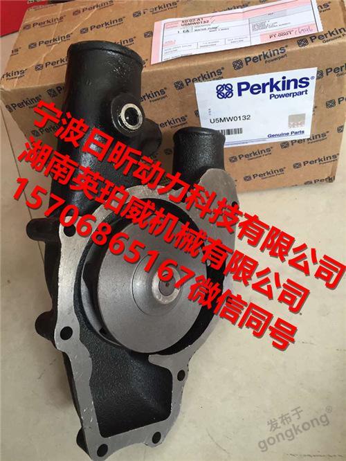 帕金斯perkins水泵U5MW0132 (2).jpg