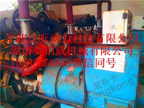 两台大宇进口柴油发动机发电机维修.jpg