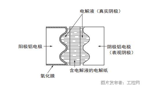 尼吉康3.png