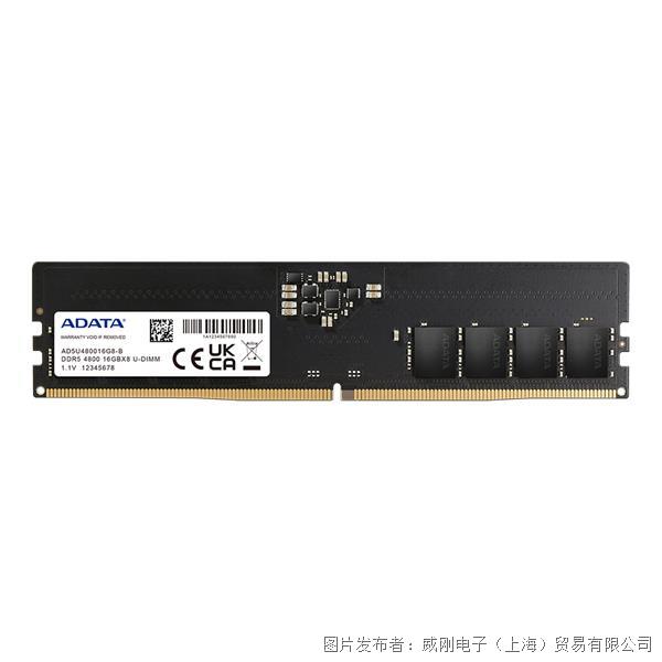 DDR5 U-DIMM_1.png