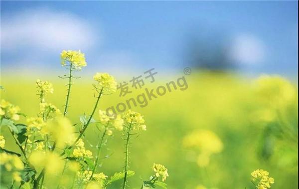 微信图片_20191108151911.jpg