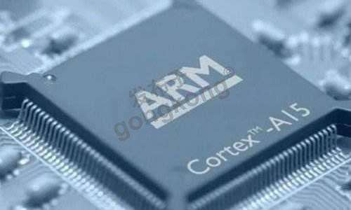 arm.jpg