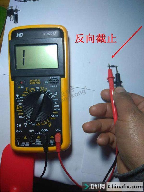 101218wgb3xmq3g78893q8.jpg