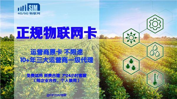 物联网卡05.jpg