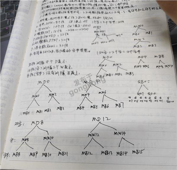 123.jpg