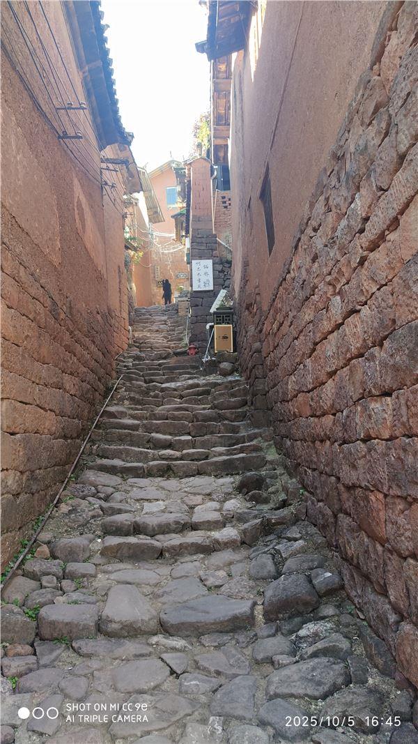 T12.jpg