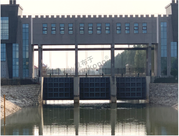 WPS图片(1).png