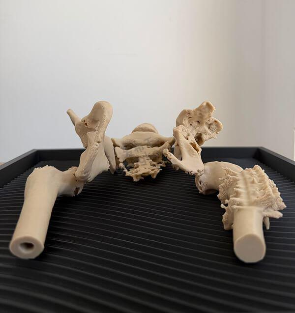 3D打印复杂骨骼.jpg