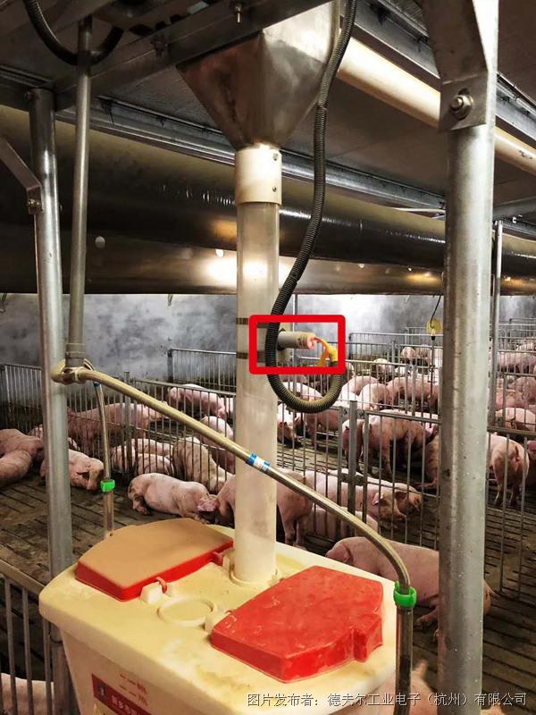 自动投喂料系统