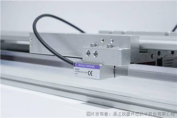 DSC08490_副本.jpg