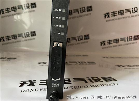 TRICONEX  3006 (1).jpg