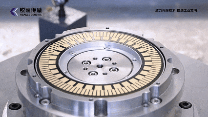 6.gif