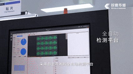 5.gif