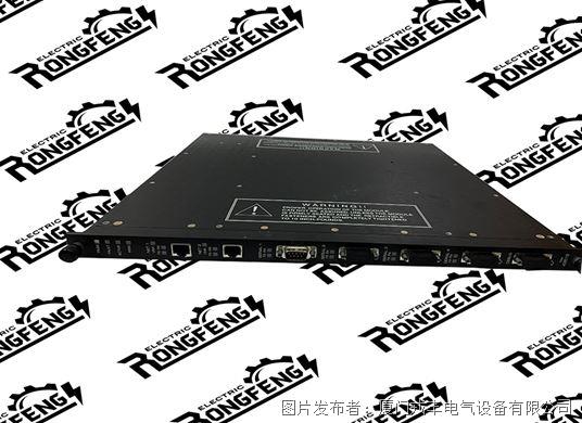 TRICONEX 4351B.jpg