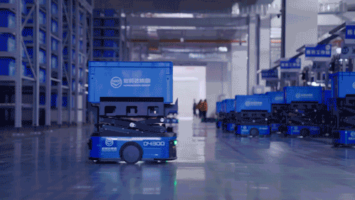 6.gif