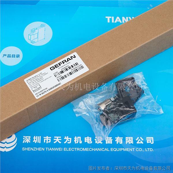 LT-M-0275-S (2).jpg