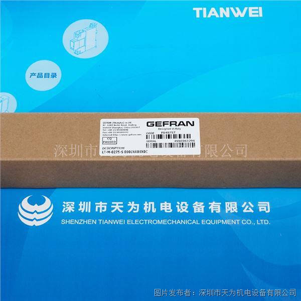 LT-M-0275-S (3).jpg