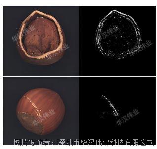 多尺度实例分割.jpg 多尺度实例分割.jpg