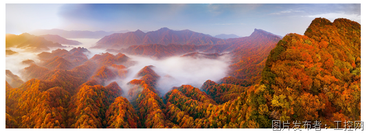 QQ20251107-161549.png QQ20251107-161549.png