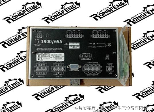 Bently Nevada 1900斜杠65A-01-01-03-01-00.jpg