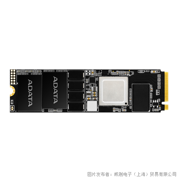 si_標準品_sm2p41b8p_front.png
