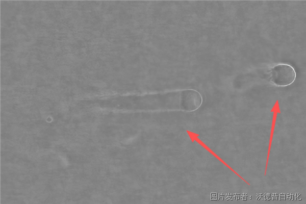 水跡2下.png 水跡2下.png