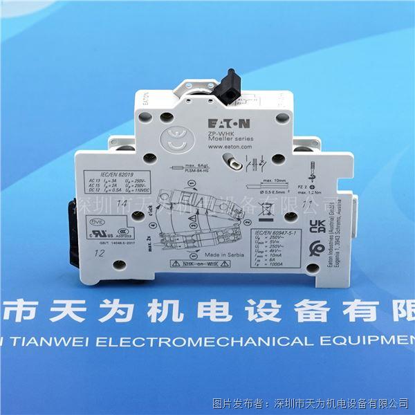ZP-WHK (2).jpg