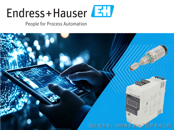 Endress+Hauser全系列工业传感器与测量设备(图1)