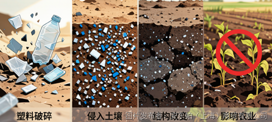 微信圖片_2026-05-21_110821_873.png 微信圖片_2026-05-21_110821_873.png
