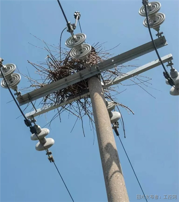 具身智能加速落地深谋空中带臂作业无人机「龙爪」中标国网电力(图2)