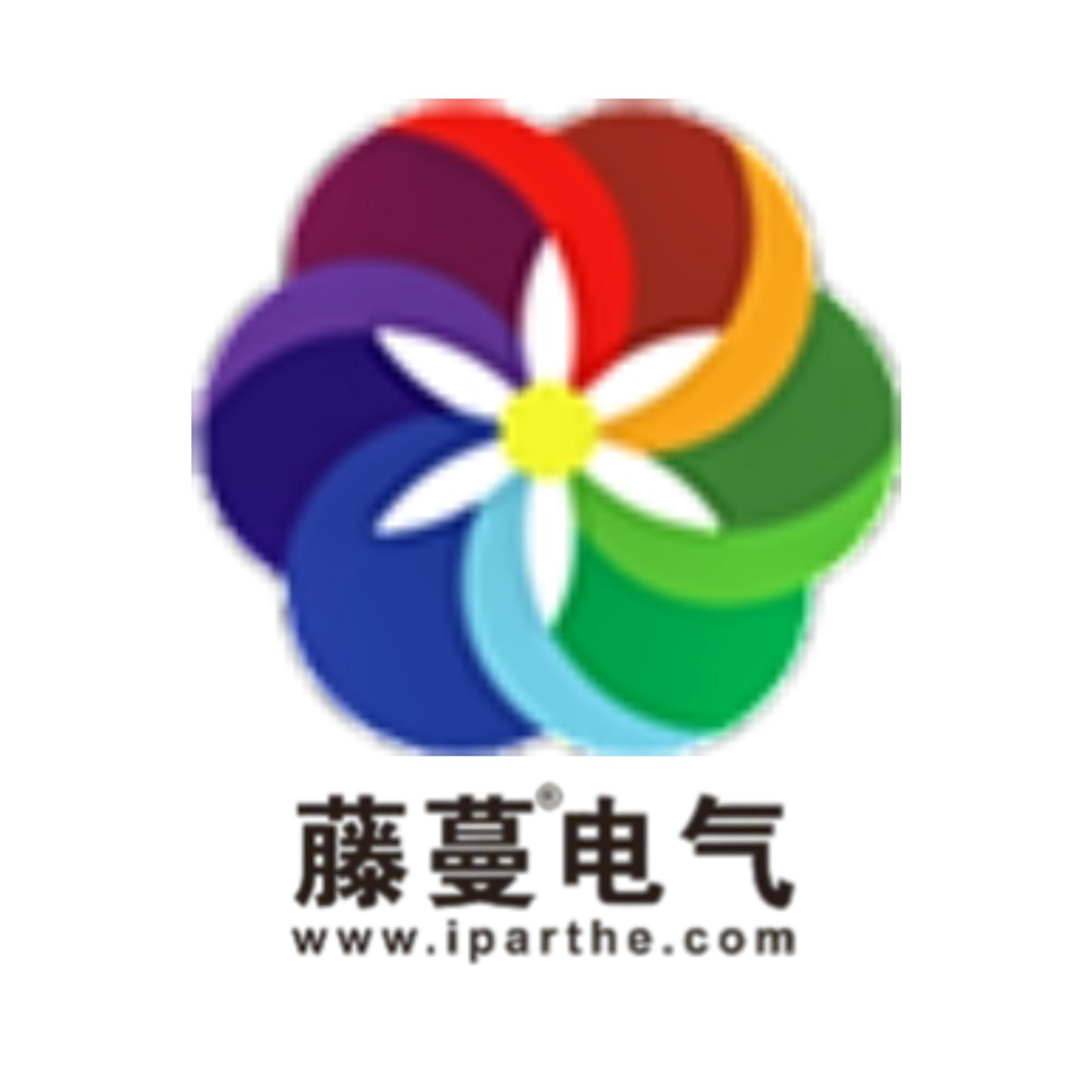 安徽藤蔓電氣有限公司